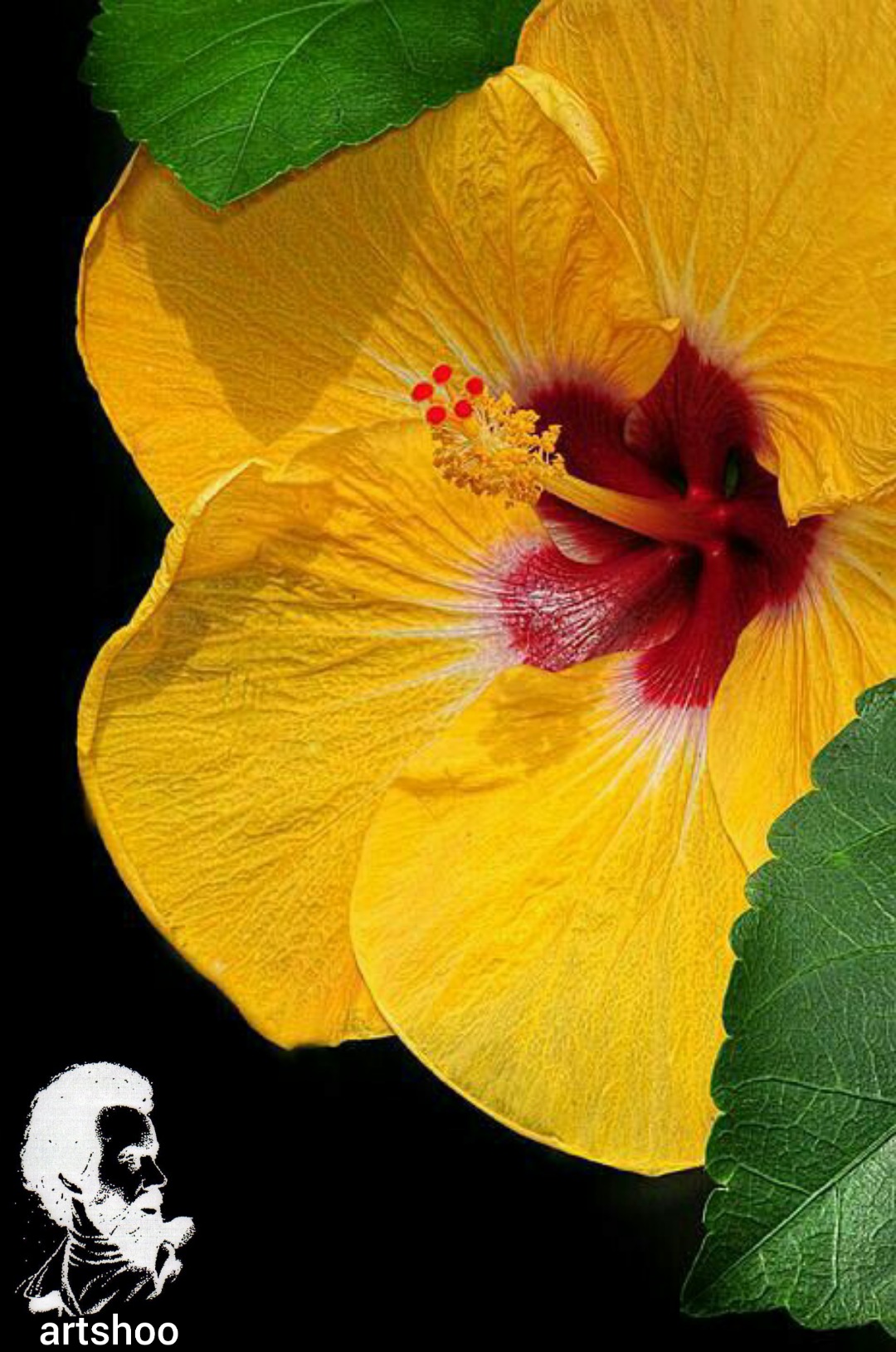 آموزش نقاشی رنگ روغن